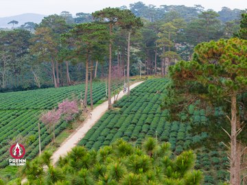 Ảnh sự kiện PRENN TRAIL SUMMIT 2025 - 277f0c5d66ac02d96f81ff2faee4f292.jpg