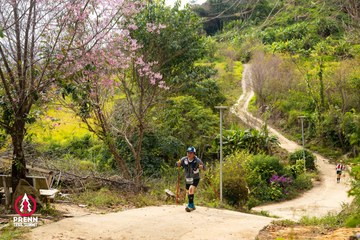 Ảnh sự kiện PRENN TRAIL SUMMIT 2025 - 286517895364a1022ef9724b8d4e92f8.jpg