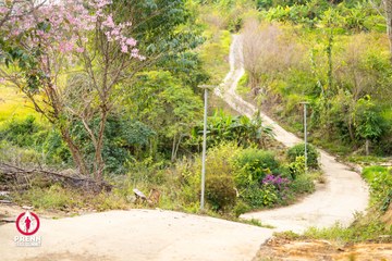 Ảnh sự kiện PRENN TRAIL SUMMIT 2025 - 28fc576dd970aa14dc2354a793533c12.jpg