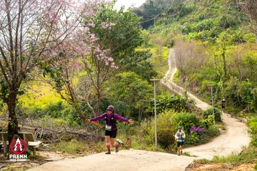 Ảnh sự kiện PRENN TRAIL SUMMIT 2025 - 2b79f1519e2fc7f331c2f01b4edfd502.jpg