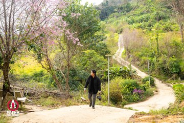 Ảnh sự kiện PRENN TRAIL SUMMIT 2025 - 2b9818a006ad3c3ad9c1d1e946ad6a91.jpg