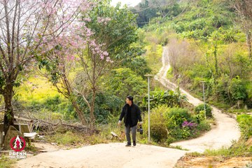 Ảnh sự kiện PRENN TRAIL SUMMIT 2025 - 2bfbdc46bd09f7ceaf8b262f52900378.jpg