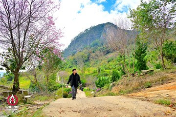 Ảnh sự kiện PRENN TRAIL SUMMIT 2025 - 2c4385da6d7ebdff55acdcd426954293.jpg