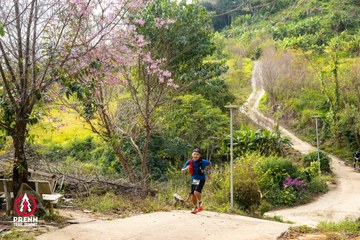 Ảnh sự kiện PRENN TRAIL SUMMIT 2025 - 2d464dc0271d36d4cf34a06ff3bdaf5c.jpg