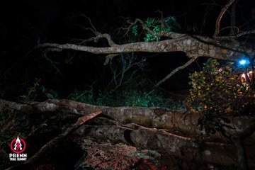 Ảnh sự kiện PRENN TRAIL SUMMIT 2025 - 2dd9b3b70c1c69c332620251e8bb0040.jpg