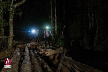 Photo PRENN TRAIL SUMMIT 2025 - 2e190e2b2279e6611691835c822e5fa2.jpg