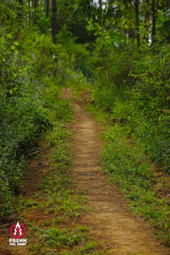 Ảnh sự kiện PRENN TRAIL SUMMIT 2025 - 2ea4a3b08ce3b680c90869888173510f.jpg