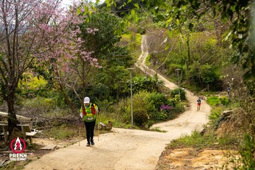 Ảnh sự kiện PRENN TRAIL SUMMIT 2025 - 326bc5b6571b0f4df17909b5626021c7.jpg