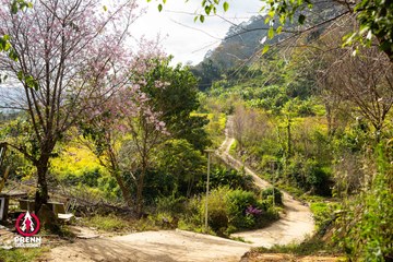Ảnh sự kiện PRENN TRAIL SUMMIT 2025 - 332bd8bd3e852592164d6385793046b3.jpg