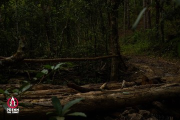 Ảnh sự kiện PRENN TRAIL SUMMIT 2025 - 34bb54fbd2896419482301b7bb76d3ae.jpg