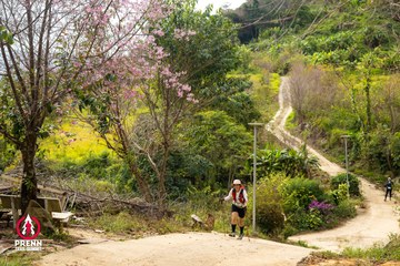 Ảnh sự kiện PRENN TRAIL SUMMIT 2025 - 352f0e0165d6d2510688f423b8917adf.jpg