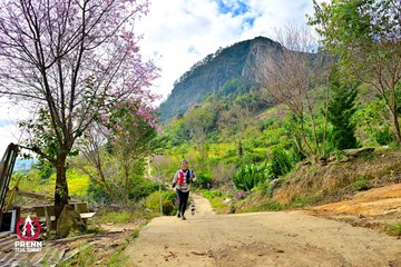Ảnh sự kiện PRENN TRAIL SUMMIT 2025 - 35a3131053649486fb618f91ad887cd2.jpg