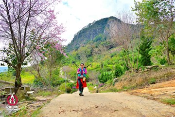 Ảnh sự kiện PRENN TRAIL SUMMIT 2025 - 372f62ad04234c30d90c3241492f99aa.jpg
