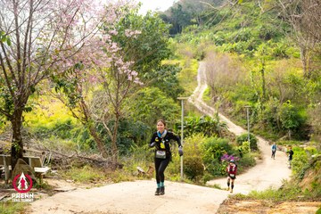 Ảnh sự kiện PRENN TRAIL SUMMIT 2025 - 375c8390209e977b7f4dc9ffb0ee0a49.jpg