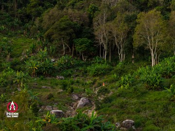 Ảnh sự kiện PRENN TRAIL SUMMIT 2025 - 3aba41bb222516f0ffe44cb98837db40.jpg