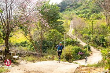 Ảnh sự kiện PRENN TRAIL SUMMIT 2025 - 3b327b167dd9913f89f81ef764f3667c.jpg