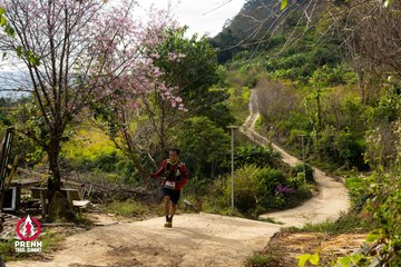 Ảnh sự kiện PRENN TRAIL SUMMIT 2025 - 3b37cd6dbd41e50fcedbbb9e20fa1292.jpg
