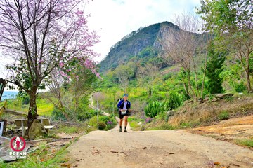 Ảnh sự kiện PRENN TRAIL SUMMIT 2025 - 3c47ec7946b9e9779c1b23e5928e8366.jpg