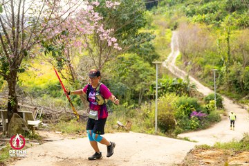 Ảnh sự kiện PRENN TRAIL SUMMIT 2025 - 3c668c01231400e32ef9320093b0d3cd.jpg