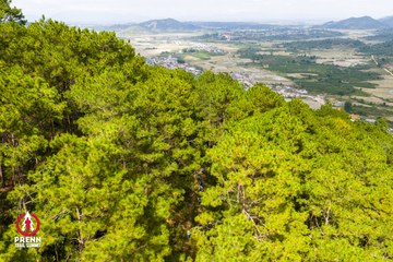 Ảnh sự kiện PRENN TRAIL SUMMIT 2025 - 3d9deb68ba9d3778cbe0cfbc71a1ecab.jpg