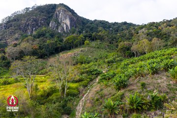 Ảnh sự kiện PRENN TRAIL SUMMIT 2025 - 3e2c911c2c446c547c607f8bf3a73c95.jpg