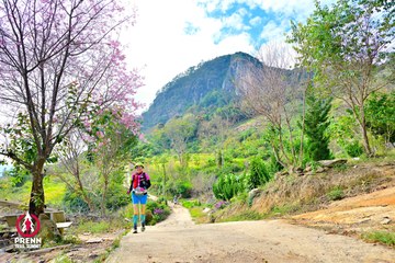 Ảnh sự kiện PRENN TRAIL SUMMIT 2025 - 416c48150f40698efe05be63717e0eda.jpg