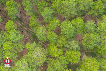 Ảnh sự kiện PRENN TRAIL SUMMIT 2025 - 4177bfbbaa31c0bf1f78ad04e02a5e73.jpg