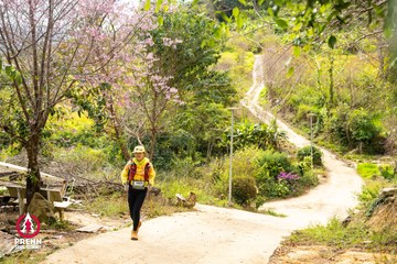 Ảnh sự kiện PRENN TRAIL SUMMIT 2025 - 43744fa400ec45e0a74874593a67e88c.jpg