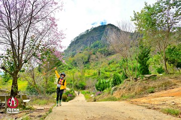 Ảnh sự kiện PRENN TRAIL SUMMIT 2025 - 44b0a4f18d2406fe79acd9f4871cced4.jpg