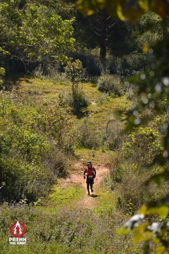 Photo PRENN TRAIL SUMMIT 2025 - 44ca355102bf3306fed68b56a57d55c5.jpg