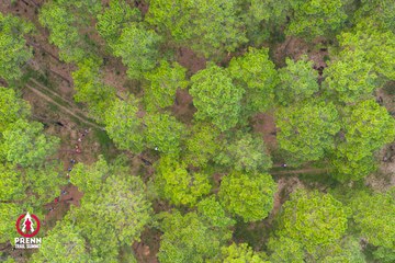 Ảnh sự kiện PRENN TRAIL SUMMIT 2025 - 4501022d674ea3c9b573092126afa3e6.jpg