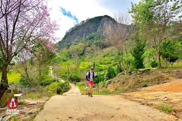 Ảnh sự kiện PRENN TRAIL SUMMIT 2025 - 4514bad73f18c42378709a1f423d3e91.jpg