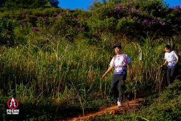 Photo PRENN TRAIL SUMMIT 2025 - 45953d19d25701fb43922cafff65dd0a.jpg