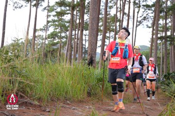 Photo PRENN TRAIL SUMMIT 2025 - 481356ad7a93bccc18ad7b28a04d8103.jpg