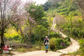 Ảnh sự kiện PRENN TRAIL SUMMIT 2025 - 4961af09af34773279dcbefcd0bcd1aa.jpg