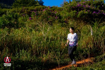 Photo PRENN TRAIL SUMMIT 2025 - 4b84ef03dc13c75eae8287be605b7ff9.jpg