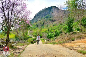 Ảnh sự kiện PRENN TRAIL SUMMIT 2025 - 4c791936c97548bb43bf3ff934125e94.jpg