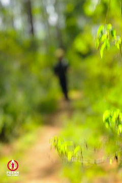 Ảnh sự kiện PRENN TRAIL SUMMIT 2025 - 4d5a51c93d92638f3e50f317be4e778c.jpg