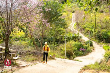 Ảnh sự kiện PRENN TRAIL SUMMIT 2025 - 4d8974ab8f8ef1185a501a4e1f50a89a.jpg