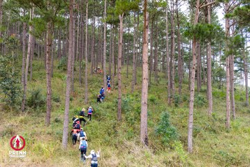 Ảnh sự kiện PRENN TRAIL SUMMIT 2025 - 4dc32e3b3945633b8a852a15753d5b30.jpg
