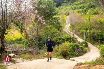 Ảnh sự kiện PRENN TRAIL SUMMIT 2025 - 4edf4df641829f68db75d7569f2f7fcc.jpg