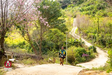 Ảnh sự kiện PRENN TRAIL SUMMIT 2025 - 501ddf64df7c883a414e4a52189e44d7.jpg