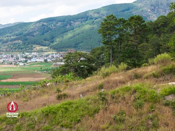 Ảnh sự kiện PRENN TRAIL SUMMIT 2025 - 5129cc692fd715a2cb03015627555113.jpg