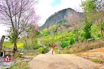 Ảnh sự kiện PRENN TRAIL SUMMIT 2025 - 5178d969d969150d8bd13679e1412873.jpg