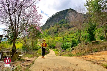 Ảnh sự kiện PRENN TRAIL SUMMIT 2025 - 51b9bdd8e9b5d4d1ca60a42150d4aec7.jpg