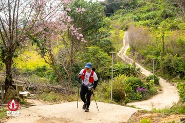 Ảnh sự kiện PRENN TRAIL SUMMIT 2025 - 53cf68a6117271a2bf506ae01a7cabde.jpg