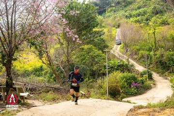 Ảnh sự kiện PRENN TRAIL SUMMIT 2025 - 53db44db192a838da0406fe26ebb3849.jpg