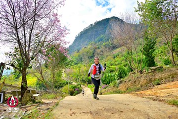 Ảnh sự kiện PRENN TRAIL SUMMIT 2025 - 556720eb8f47639b7aa46da0b9ad3fc2.jpg