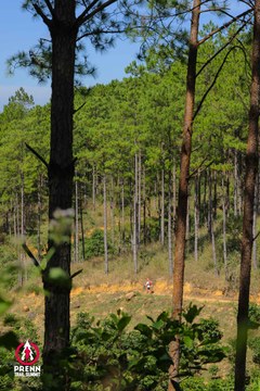 Ảnh sự kiện PRENN TRAIL SUMMIT 2025 - 55701058383f7508ce0808ce91cf402f.jpg