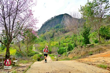Ảnh sự kiện PRENN TRAIL SUMMIT 2025 - 56767707754d0e093188c08a0fd09aac.jpg